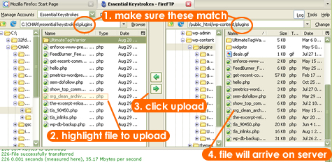 The basics of an FTP screen